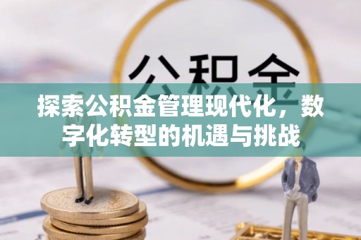 定西探索公积金管理现代化，数字化转型的机遇与挑战