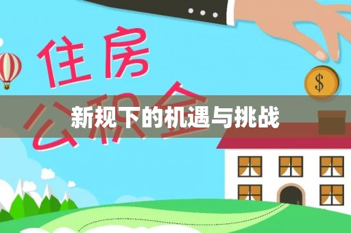 定西新规下的机遇与挑战