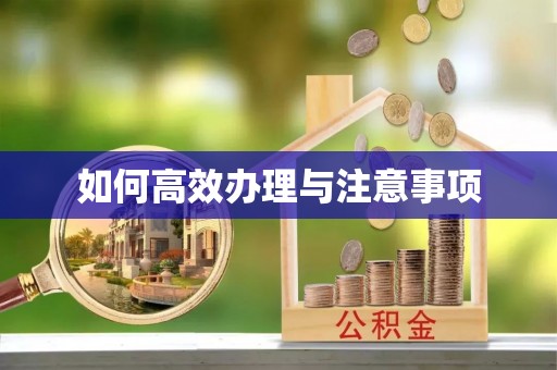 定西如何高效办理与注意事项