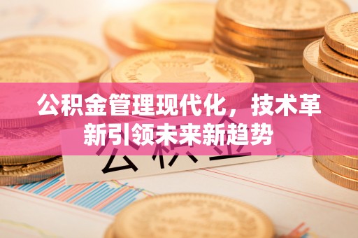 定西公积金管理现代化，技术革新引领未来新趋势