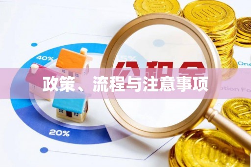 定西政策、流程与注意事项