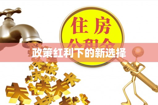 定西政策红利下的新选择