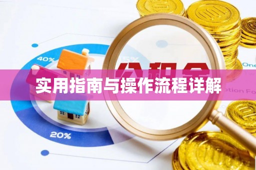 定西实用指南与操作流程详解