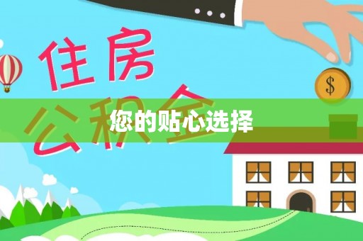定西您的贴心选择