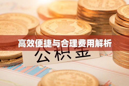 定西高效便捷与合理费用解析