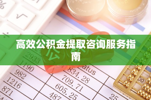 定西高效公积金提取咨询服务指南