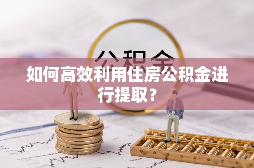 定西如何高效利用住房公积金进行提取？