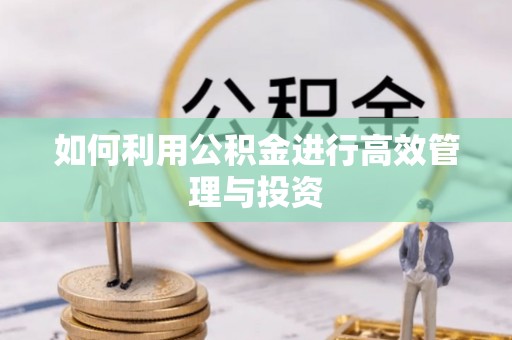 定西如何利用公积金进行高效管理与投资
