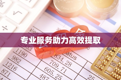 定西专业服务助力高效提取