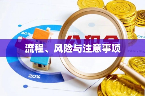 定西流程、风险与注意事项