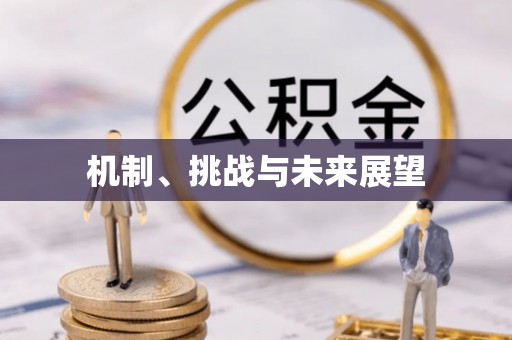 定西机制、挑战与未来展望